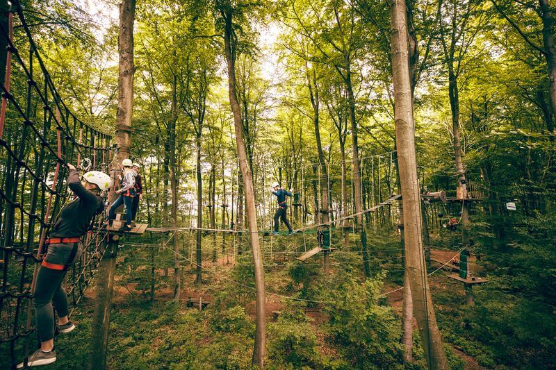 Abbildung Kletterwald Haltern